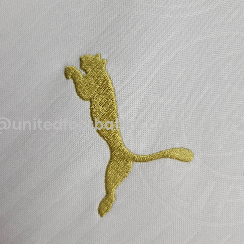 Unitedfootballkit.com | Palmeiras 2024 Away Stadium Kids Kit -Customize Name, Number and Patch | Worldwide Shipping