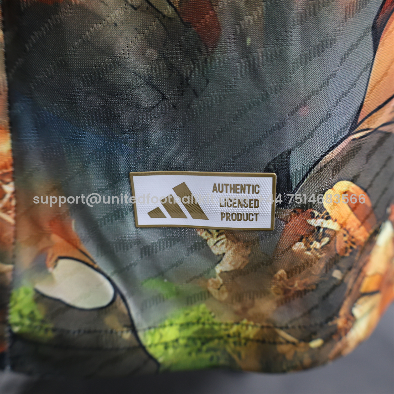 Unitedfootballkit.com | Japan 24-25 Monkey D. Luffy Special Edition Jersey - Player Version -Customize Name, Number and Patch | Worldwide Shipping