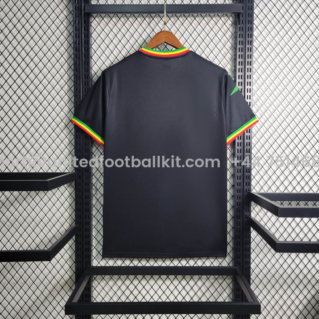 Unitedfootballkit.com | Mali 2024 Africa Cup Third Jersey - Fans Version -Customize Name, Number and Patch | Worldwide Shipping