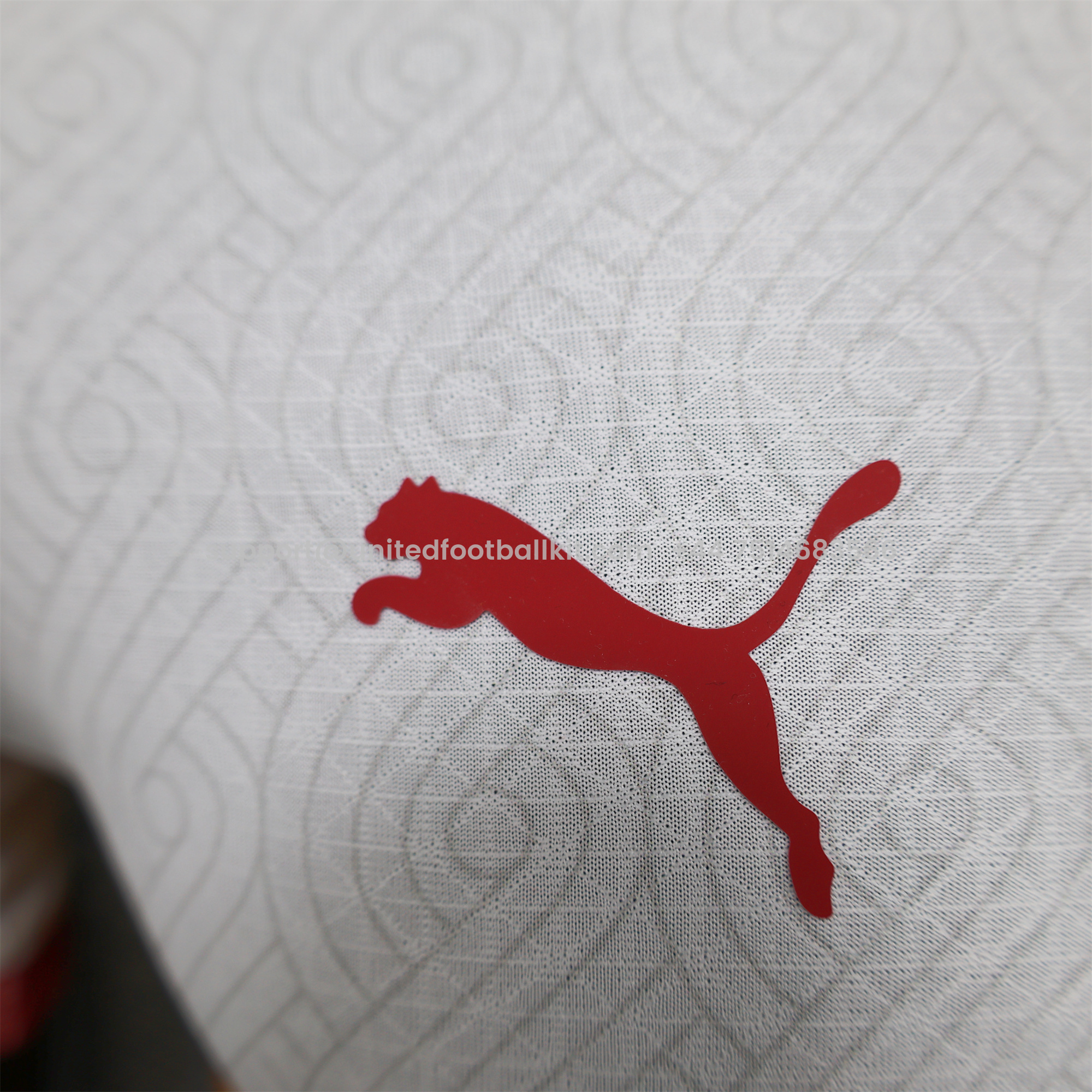 Unitedfootballkit.com | Galatasaray 24-25 Away Jersey - Player Version -Customize Name, Number and Patch | Worldwide Shipping