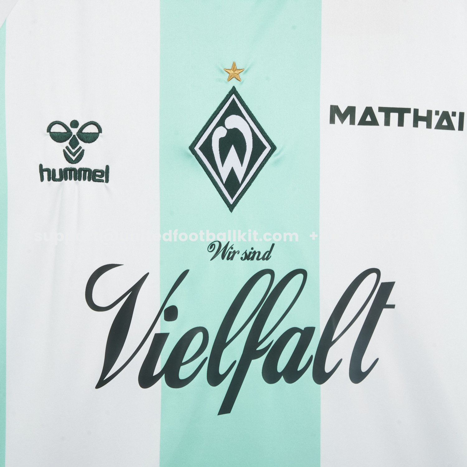 Unitedfootballkit.com | Werder Bremen 25-26 Green And White Special Jersey - Fans Version -Customize Name, Number and Patch | Worldwide Shipping
