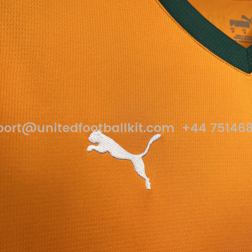 Unitedfootballkit.com | Valencia 24-25 Third Jersey - Fans Version -Customize Name, Number and Patch | Worldwide Shipping