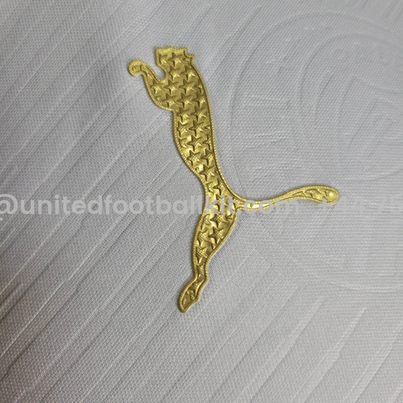 Unitedfootballkit.com | Palmeiras 2024 Away Jersey - Player Version -Customize Name, Number and Patch | Worldwide Shipping