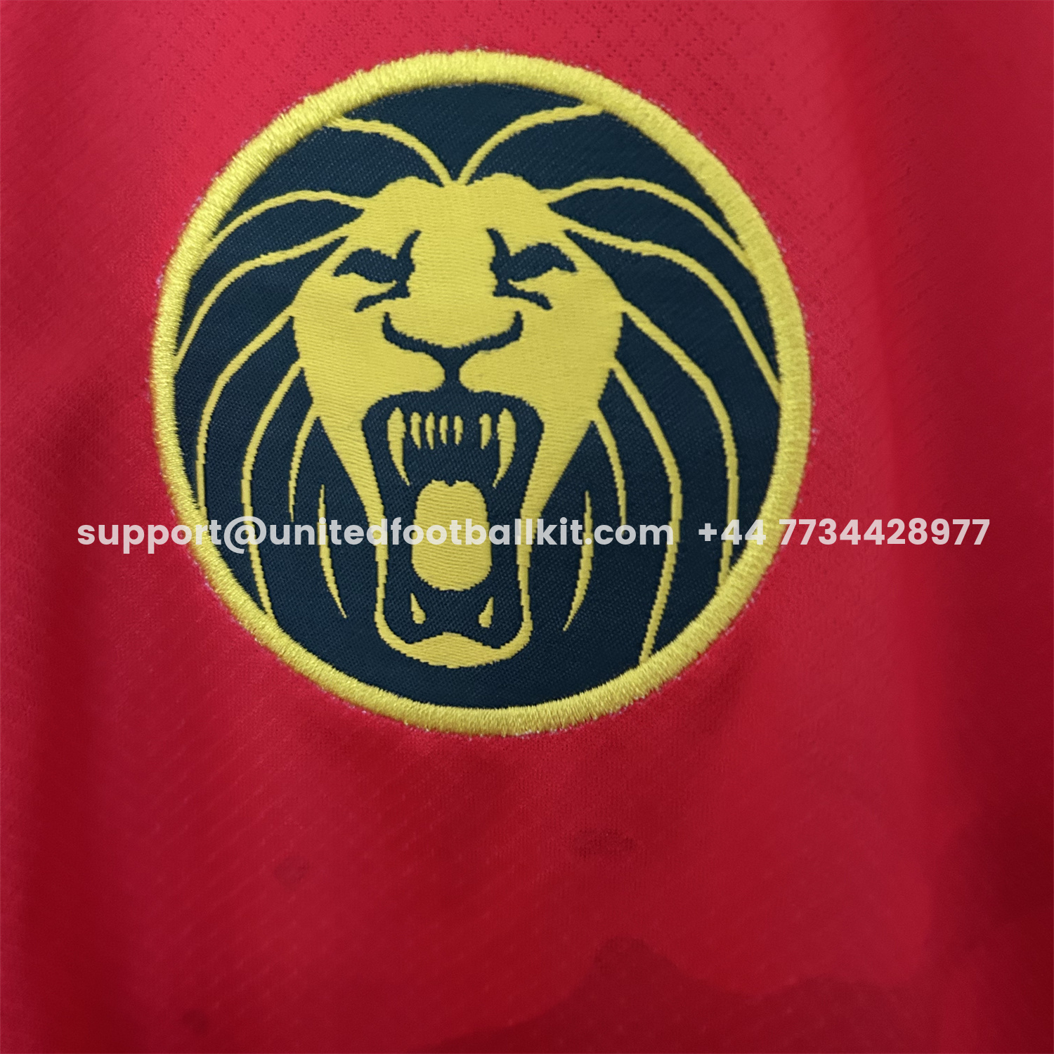 Unitedfootballkit.com | Cameroon 25-26 Away Jersey - Fans Version -Customize Name, Number and Patch | Worldwide Shipping