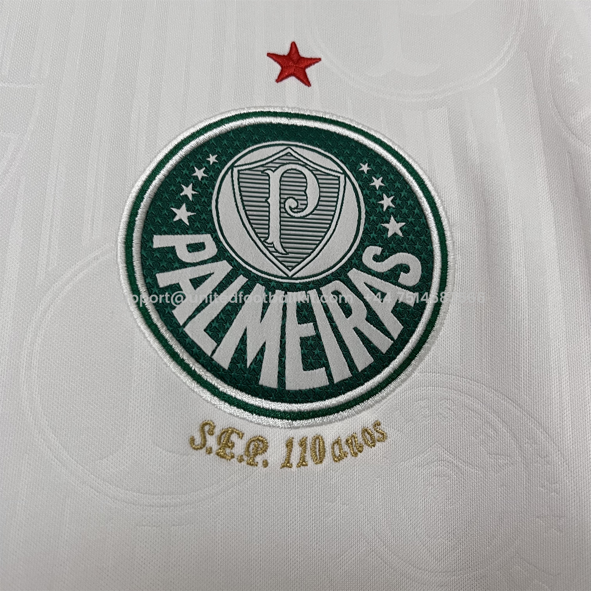 Unitedfootballkit.com | Palmeiras 2024 Away Jersey - Fans Version -Customize Name, Number and Patch | Worldwide Shipping
