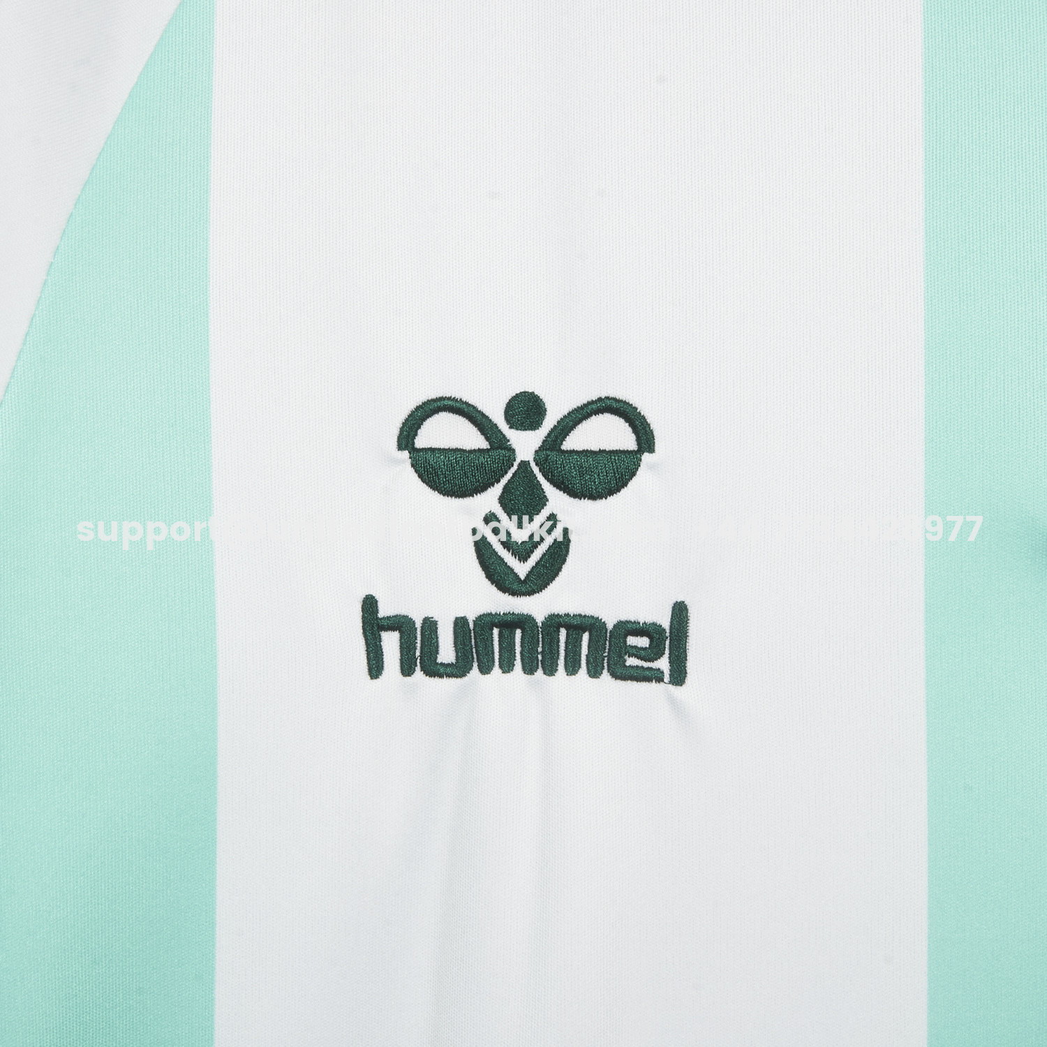 Unitedfootballkit.com | Werder Bremen 25-26 Green And White Special Jersey - Fans Version -Customize Name, Number and Patch | Worldwide Shipping