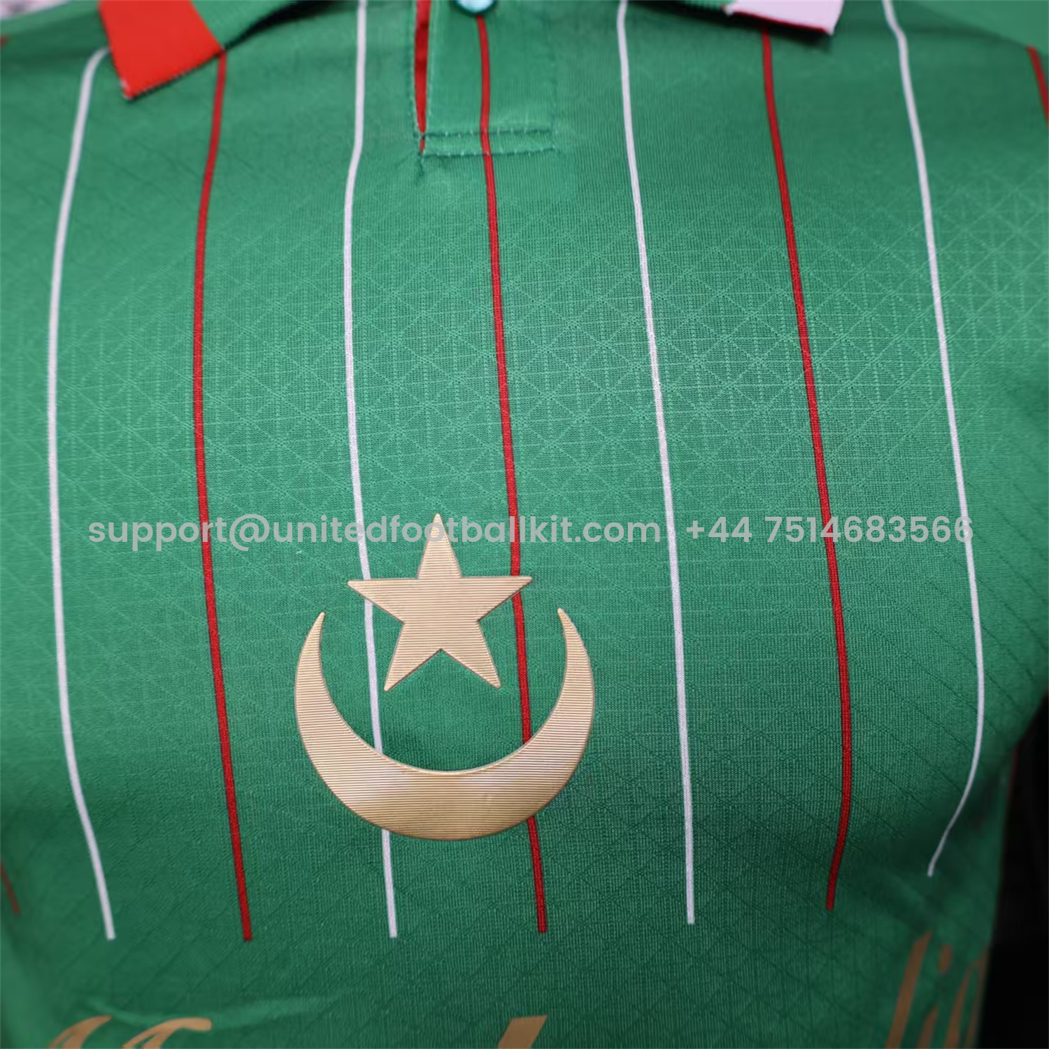 Unitedfootballkit.com | Club Deportivo Palestino Palestine 25-26 Green Special Jersey - Player Version -Customize Name, Number and Patch | Worldwide Shipping