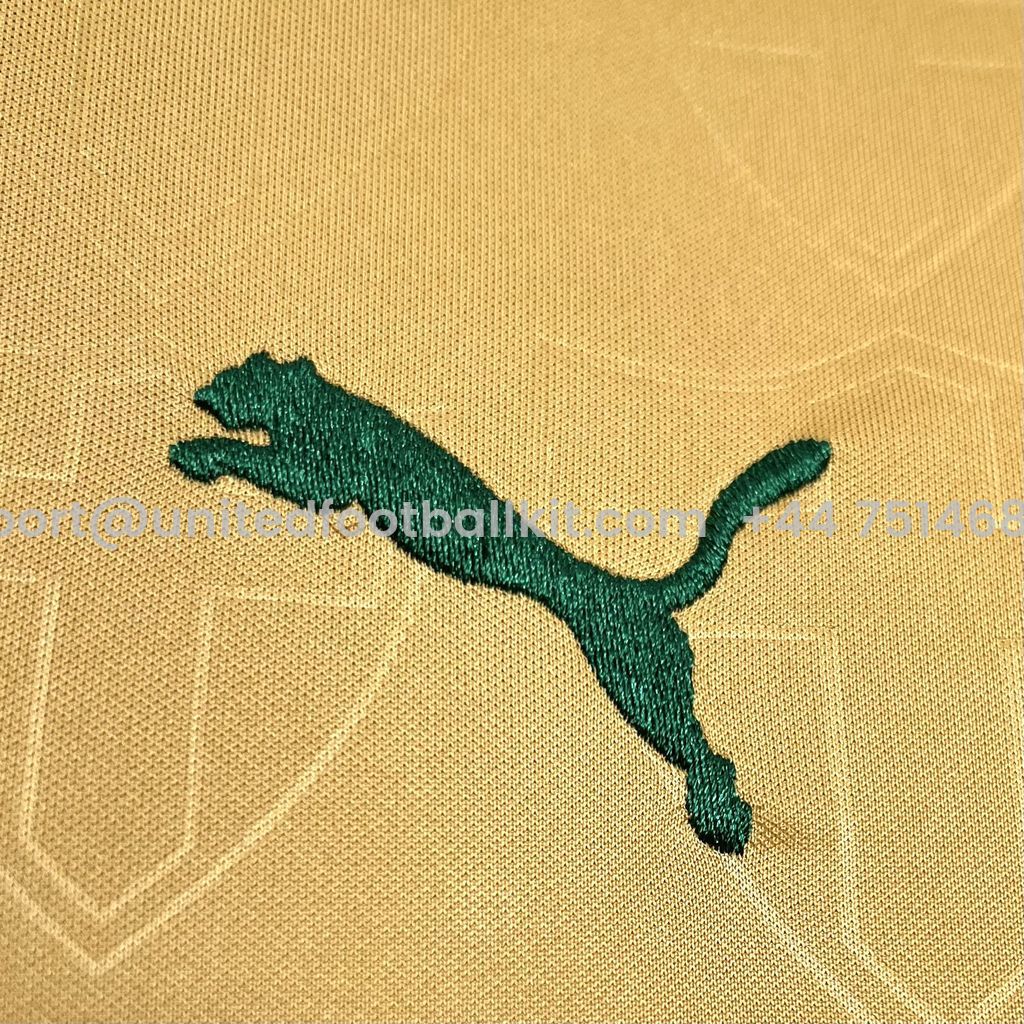 Unitedfootballkit.com | Palmeiras 24-25 Third Jersey - Fans Version -Customize Name, Number and Patch | Worldwide Shipping