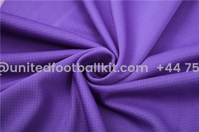 Unitedfootballkit.com | Germany 2024 Short-Sleeve Training Set - Purple -Customize Name, Number and Patch | Worldwide Shipping
