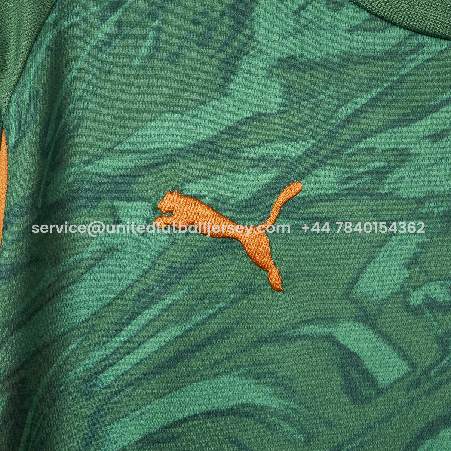 foot-Dortmund 25-26 Green Goalkeeper Jersey - Fans Version