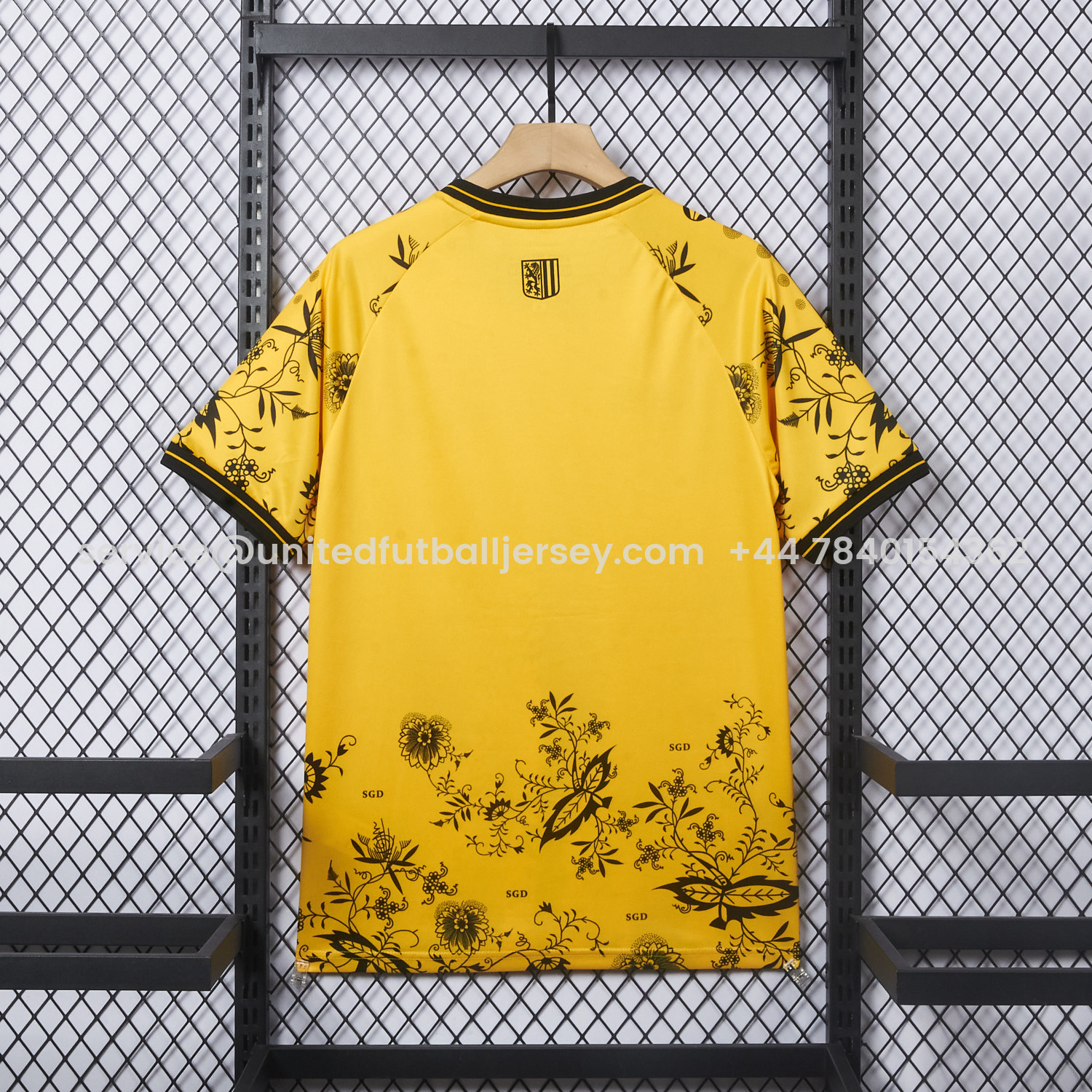 foot-Dynamo Dresden 25-26 HATE RACISM Special Jersey - Fans Version