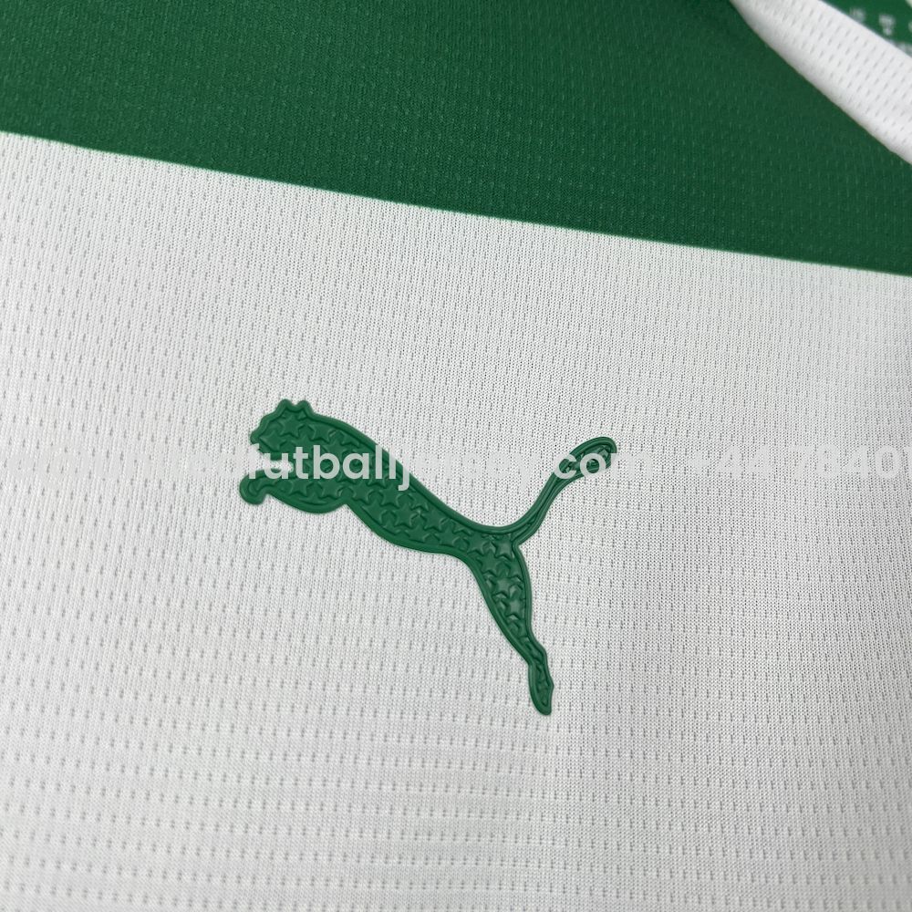 foot-Palmeiras 25-26 Avanti Commemorative Jersey - Fans Version