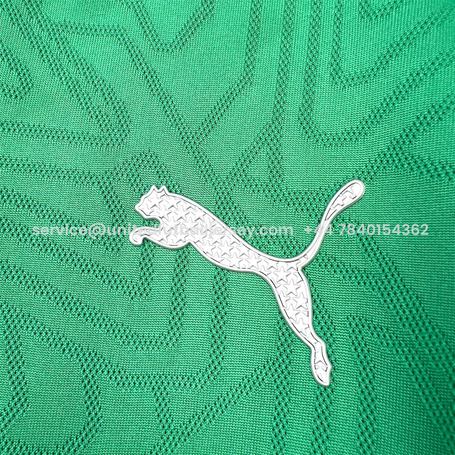 foot-Palmeiras 25-26 Green Training Jersey - Fans Version