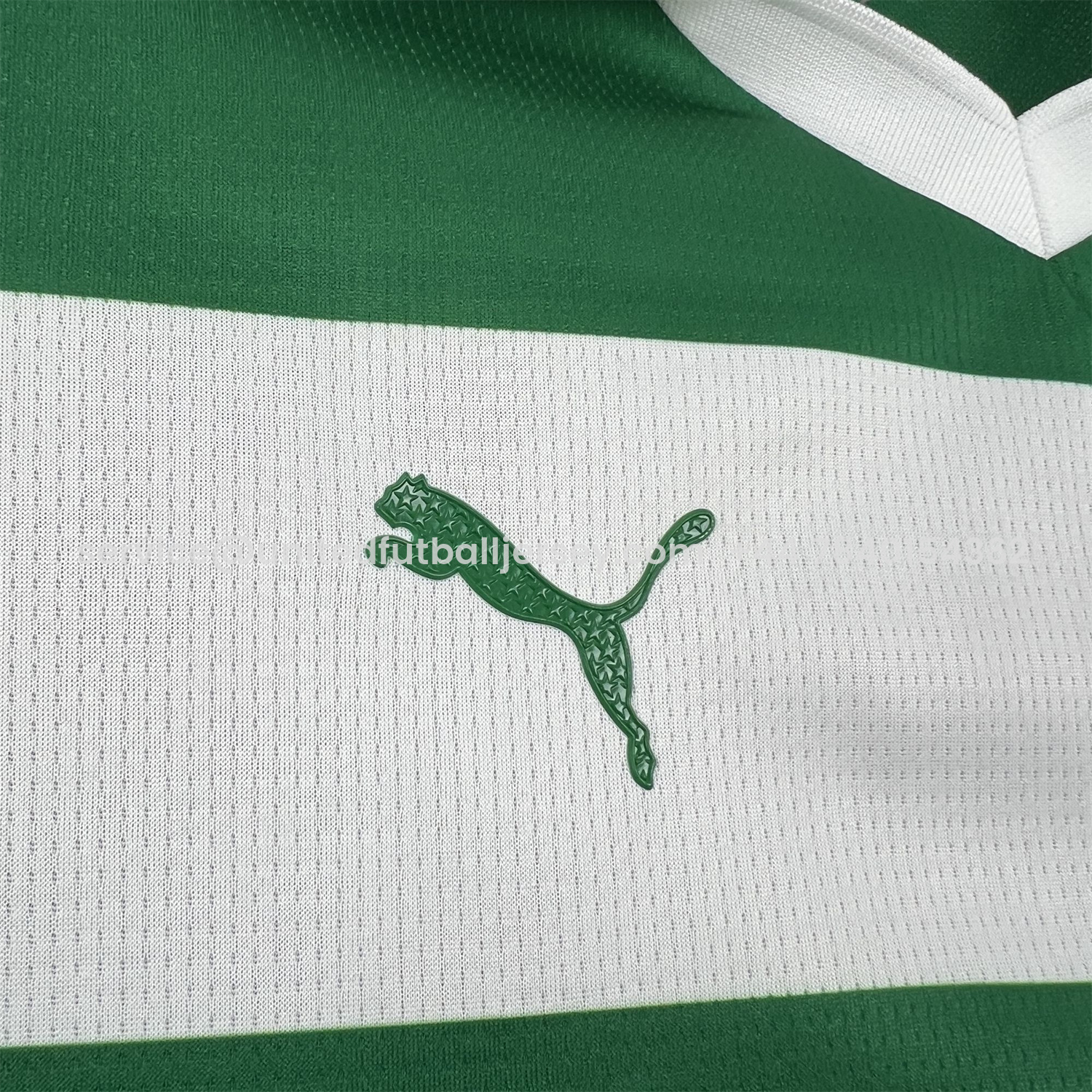 foot-Women's Palmeiras 25-26 Avanti Commemorative Jersey