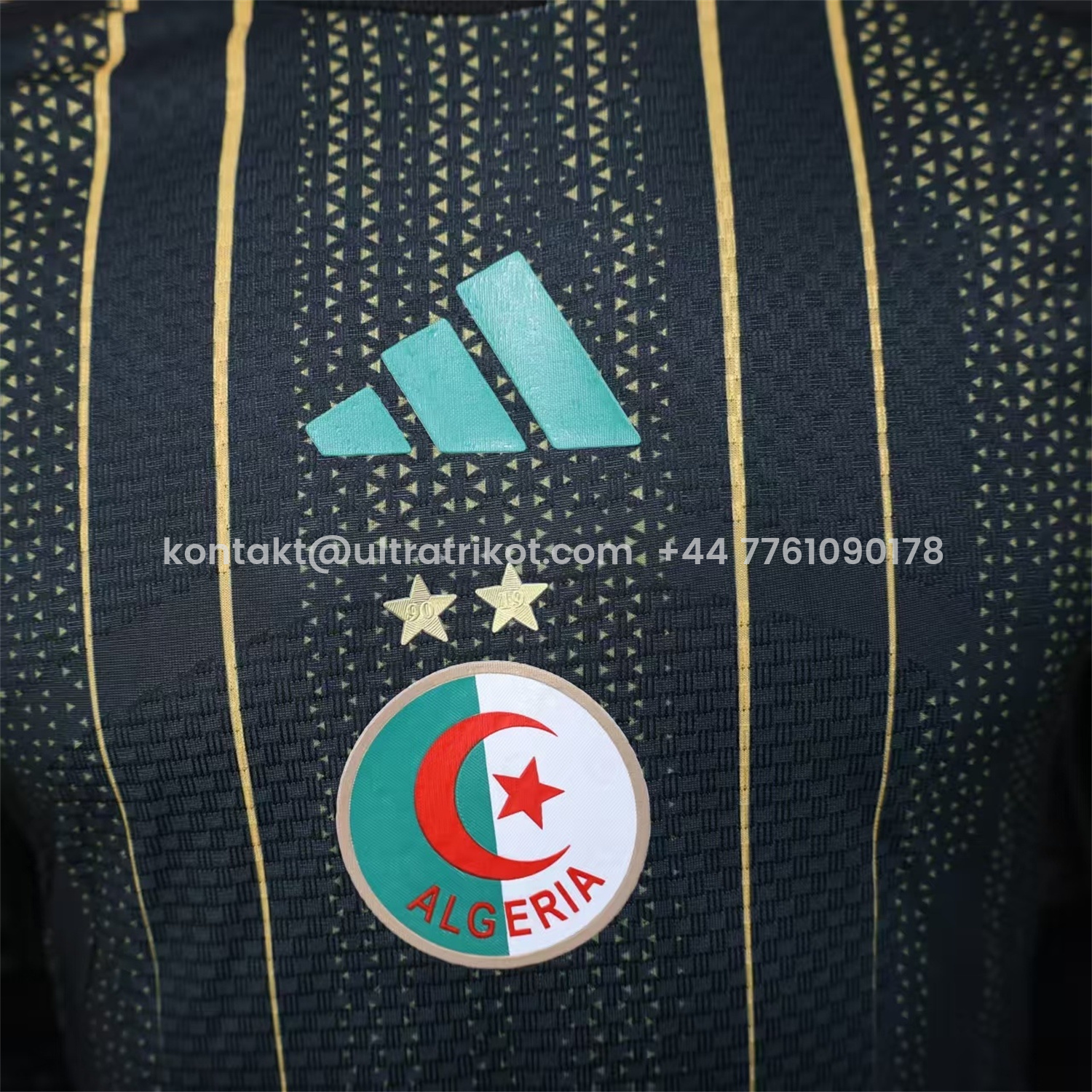 UltraTrikot-Algeria 2026 Black And Gold Special Jersey - Player Version