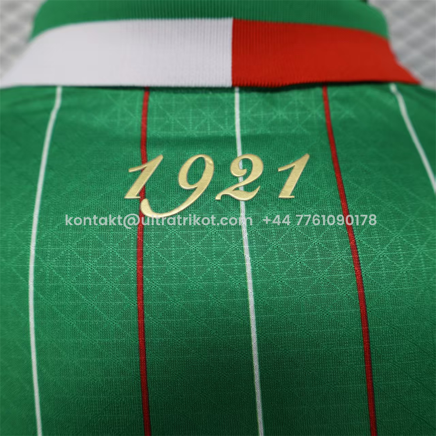 UltraTrikot-Club Deportivo Palestino Palestine 25-26 Green Special Jersey - Player Version