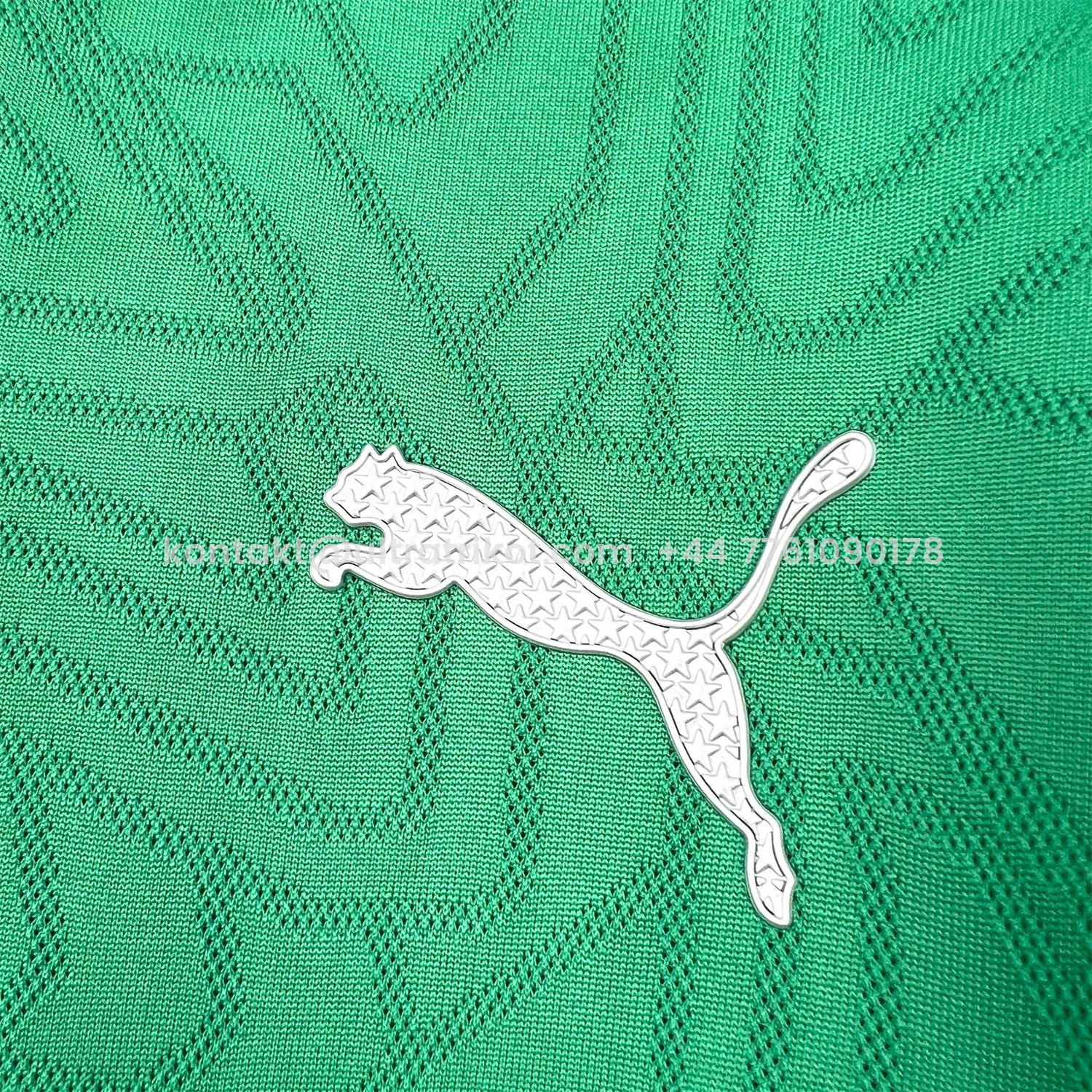 UltraTrikot-Palmeiras 25-26 Green Training Jersey - Fans Version